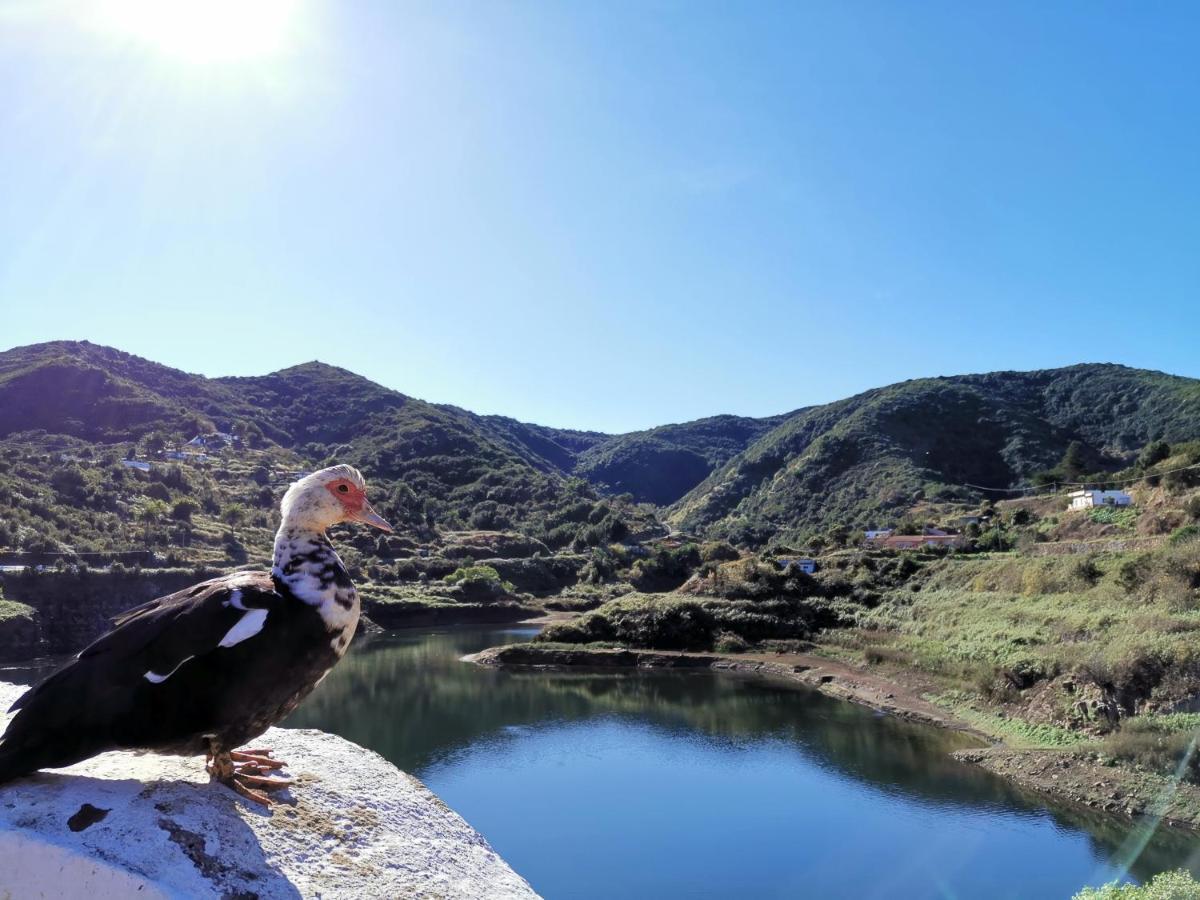 Casa Rural Leo: Remanso De Paz Y Tranquilidad Agulo